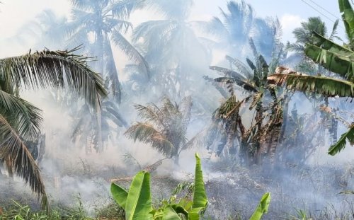 Ilustrasi hotspot di Inhu tertinggi di Riau (foto/int)