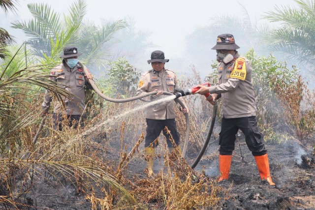 Api belum padam, tim gabungan berpacu padamkan Karhutla di sejumlah wilayah Riau (foto/int)
