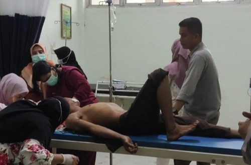 Pekerja di Pelalawan diserang Harimau Sumatera.(foto: mcr)
