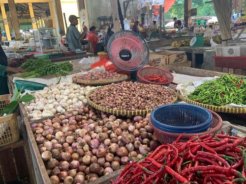 Warga Siak keluhkan harga cabai merah yang naik hingga Rp 100.000/kg. (Foto: Meri Yindani)