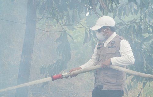 Bupati Pelalawan, H Zukri padamkan karhutla di Kerumutan.(foto: andi/halloriau.com)