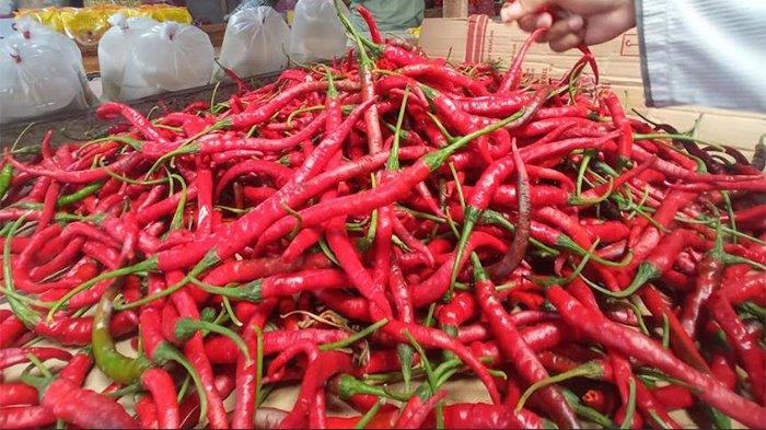 Ilustrasi Harga cabai merah di Kampar tembus Rp100 ribu per kilogram (foto/tribunpekanbaru)