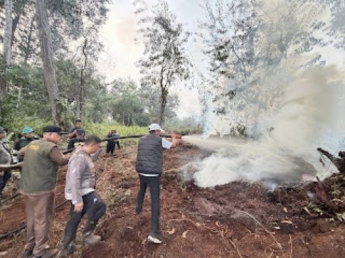 Bupati Zukri saat memadamkan Karhutla beberapa waktu lalu (foto/Andy)