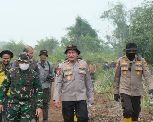 Kapolda Riau dan Pangdam XIX/Tuanku Tambusai meninjau penanganan Karhutla di Desa Pulau Jumat, Inhu. Sekitar 150 hektare lahan terbakar dan 157 personel dikerahkan.