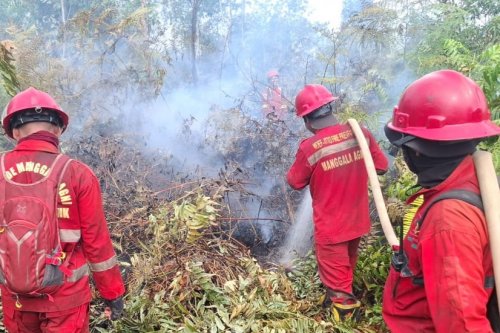 Ilustrasi Pekanbaru menetapkan status Siaga Darurat Bencana Karhutla hingga 30 November mendatang (foto/int)