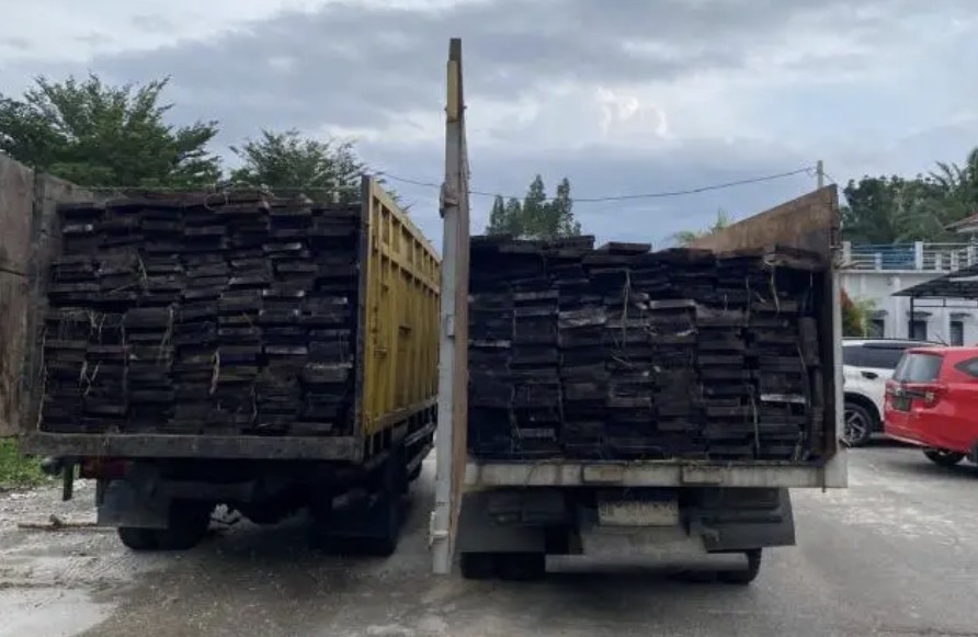 Polda Riau gagalkan pengiriman kayu ilegal dari Suaka Margasatwa Kerumutan, Pelalawan (foto/ist)