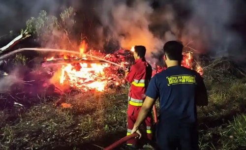 Kebakaran di Benai Kuansing nyaris picu karhutla.(foto: tribunpekanbaru.com)