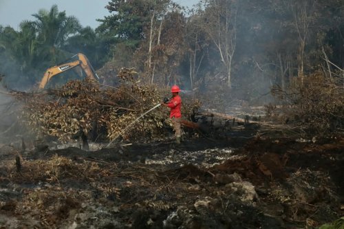 Ilustrasi hotspot di Riau masih belum sirna (foto/int)