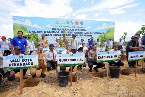 Pemprov Riau, Pemko Pekanbaru dan Polda Riau menggelar penanaman 15 ribu bibit pohon di kawasan Komplek Perkantoran Tenayan Raya. (Foto: Media Center Riau)