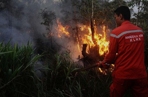 Titik panas di Riau.(ilustrasi/int)