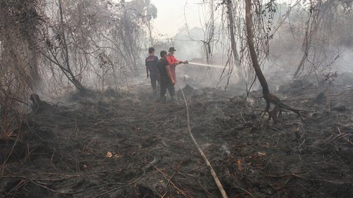 Ilustrasi hotspot di Riau masih bermunculan hari ini (foto/int)