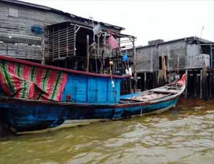Ileal fishing