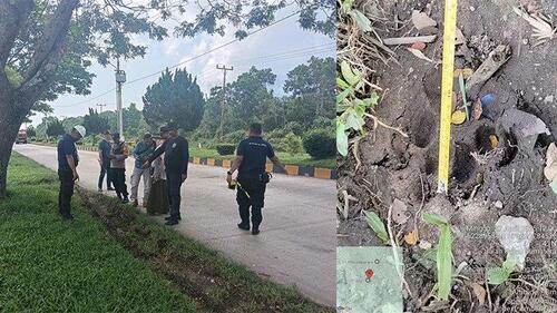 Pasca heboh video kemunculan harimau sumatera di kawasan Industri Dumai Pelintung, beberapa waktu lalu, tim dari BBKSDA Riau bergerak melakukan pengecekan ke lapangan. (Foto: Tribun Pekanbaru)