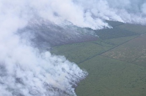 Sebaran titik panas di Sumatera hari ini.(ilustrasi/int)