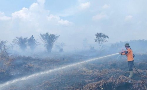 Riau hadapi musim kemarau.(ilustrasi/int)