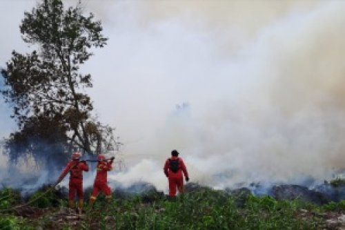 Pemadaman karhutla di Riau.(foto: mcr)