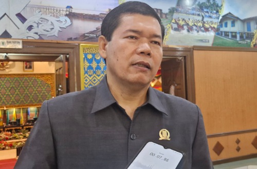 Anggota DPRD Riau, Manahara Napitupulu.(foto: fitri/halloriau.com)