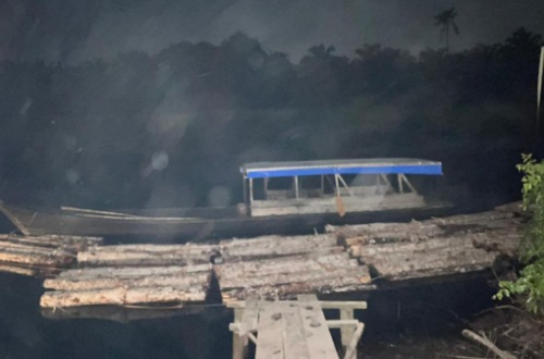 Polisi Bengkalis bongkar dugaan illegal logging di Sungai Nibung.(foto: mcr)