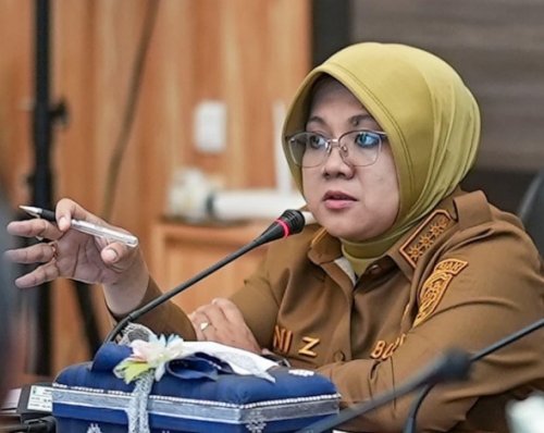 Bupati Siak, Afni Z.