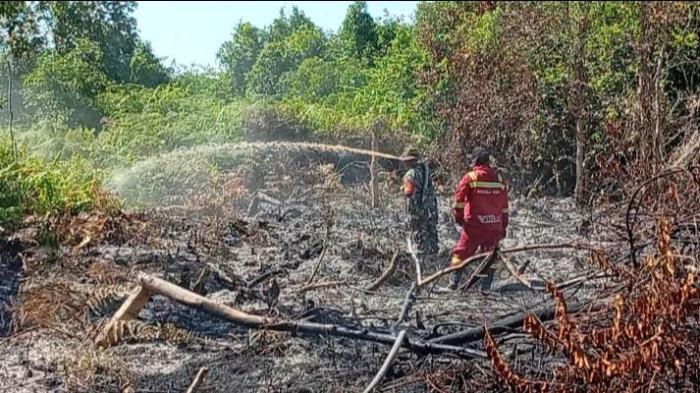 Petugas berjibaku padamkan api di Rimbo Panjang di tengah cuaca ekstrem (foto/tribun)