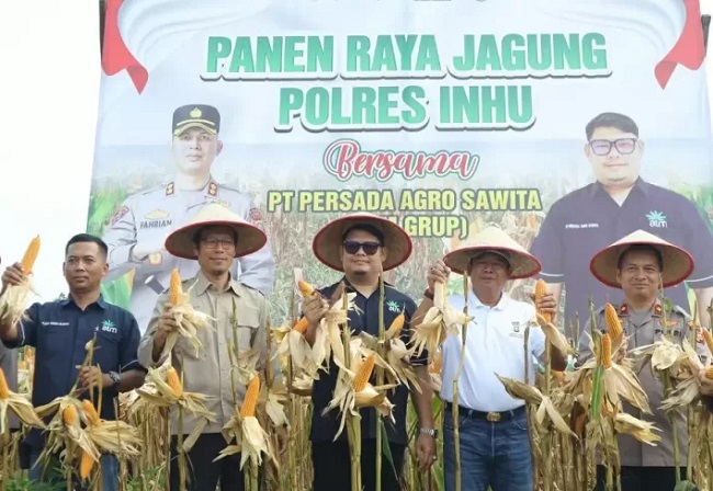 Panen jagung pipil unggulan kembali digelar di Indragiri Hulu.