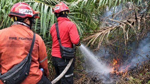Kolaborasi PT Arara Abadi, TNI/Polri dan masyarakat padamkan Karhutla di Mempura-Siak (foto/ist)