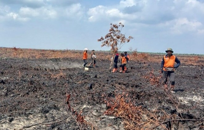 Karhutla di Riau mulai mengkhawatirkan (foto/rivo)