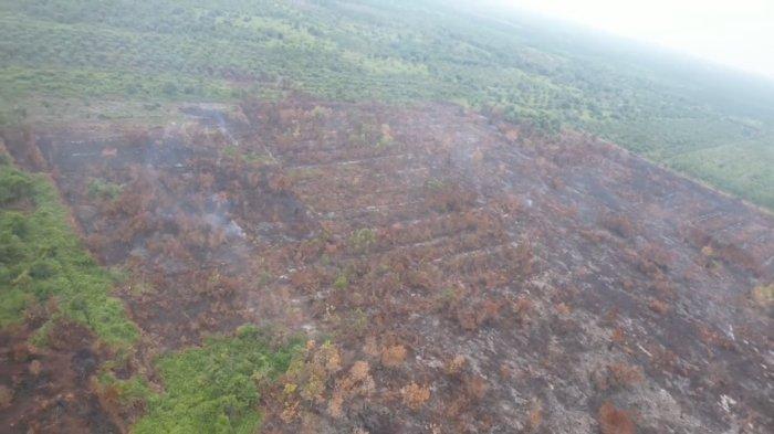 Ilustrasi Karhutla di Kampar, Riau masih menghantui di musim kemarau (foto/tribunpku)