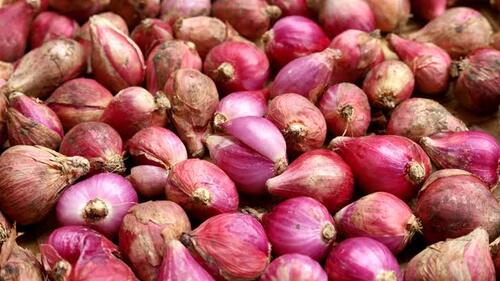 Ilustrasi bawang merah. (Foto: int)