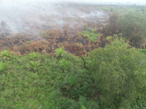 Ilustrasi hotspot di Riau masih terdeteksi (foto/int)