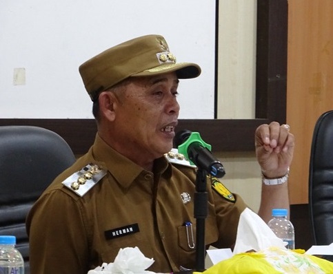 Bupati Indragiri Hilir (Inhil), Herman.