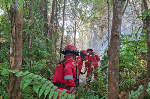 Tim Manggala Agni dalam upaya pemadaman karhutla di Bengkalis.(foto: mcr)