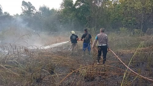 Semak belukar dekat Mal SKA Pekanbaru terbakar.(foto: mcr)