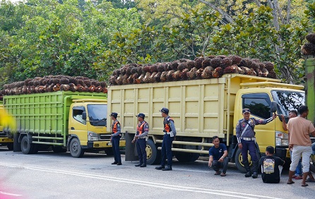 Truk sawit.(ilustrasi/int)