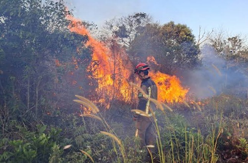 Sebaran titik panas di Riau hari ini.(ilustrasi/int)