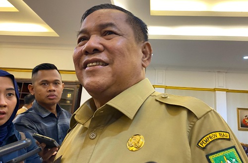 Plt Gubernur Riau, SF Hariyanto.(foto: fitri/halloriau.com)
