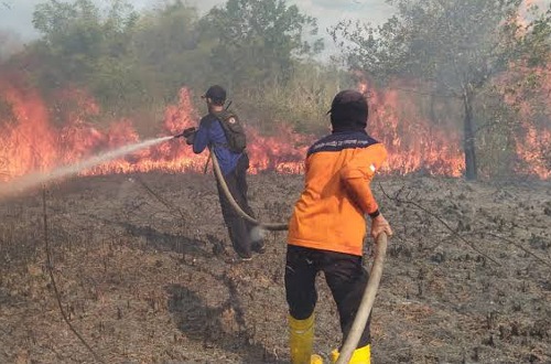 Pemprov Riau percepat konsolidasi desa cegah karhutla sejak dini.(ilustrasi/int)