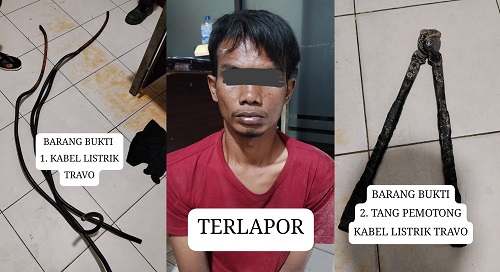 Pelaku JH dan barang bukti saat diamankan ke Mapolres Pelalawan.(foto: andi/halloriau.com)