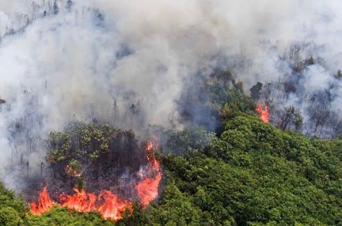 Sebaran titik panas di Riau meningkat hari ini.(ilustrasi/int)
