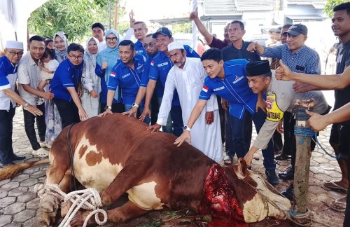 Anggota DPRD Kota Pekanbaru, H Fathullah saat pemotongan hewan qurban seberat 1,2 ton.(foto: mimi/halloriau.com)