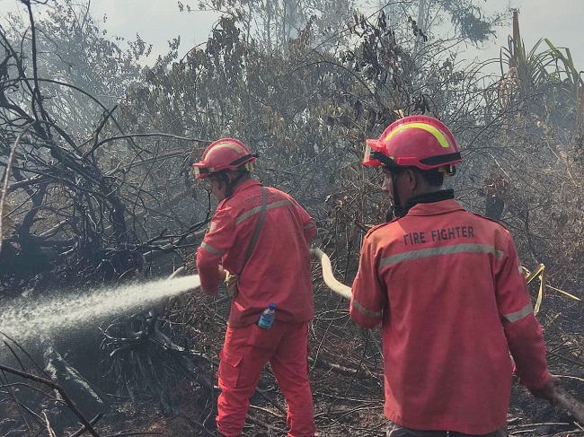 Pemadaman kebakaran lahan.