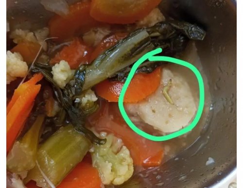 Ponpes Nurul Ilmi sering menolak MBG dari dapur AKP KM 10, diduga sering ditemukan belatung (foto/klikmx)