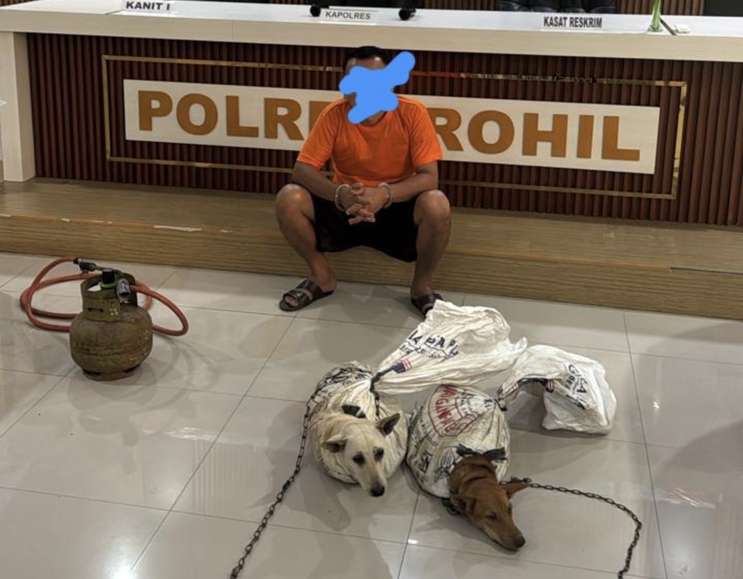 Polres Rohil tangkap pelaku penganiayaan hewan (foto/afrizal)