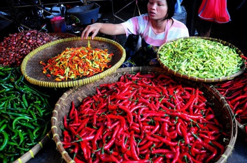 Harga cabai merah di Pekanbaru stabil jelang ramadan.(ilustrasi/int)