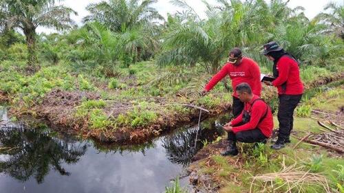 Petugas Manggala Agni mengukur tinggi air di lahan gambut kampung Bunsur, Kecamatan Sungai Apit. (Fto: Tribun Pekanbaru)