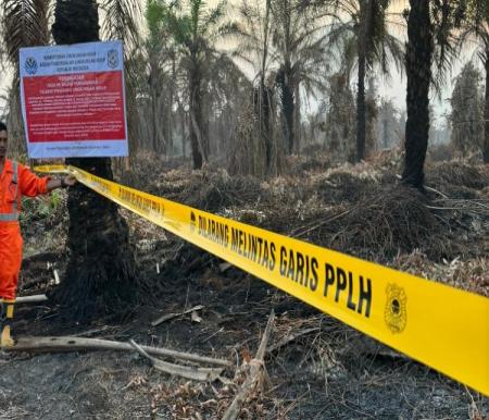 Penyegelan lahan perusahaan akibat kebakaran lahan. Foto internet