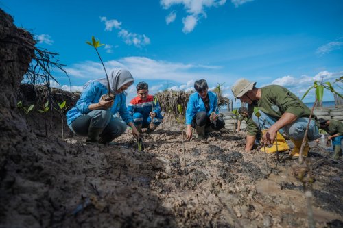 Pertamina Patra Niaga Kilang Dumai konsisten jalankan program pemberdayaan wilayah pesisir dan ekosistem gambut (foto/ist)