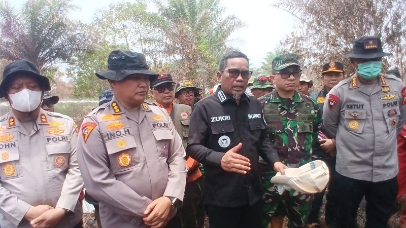 Sinergi TNI-Polri dan Pemda, penanganan Karhutla di Pelalawan terkendali (foto/int)