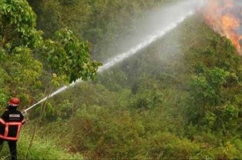 Sebaran titik panas di Riau hari ini meningkat.(ilustrasi/int)