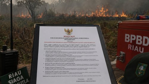 Forkompinda Riau terbitkan maklumat Karhutla.(ilustrasi/int)